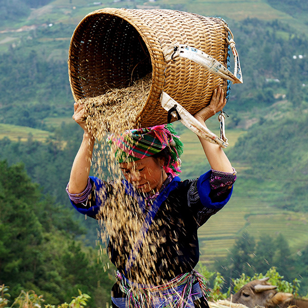 Sách, tài liệu